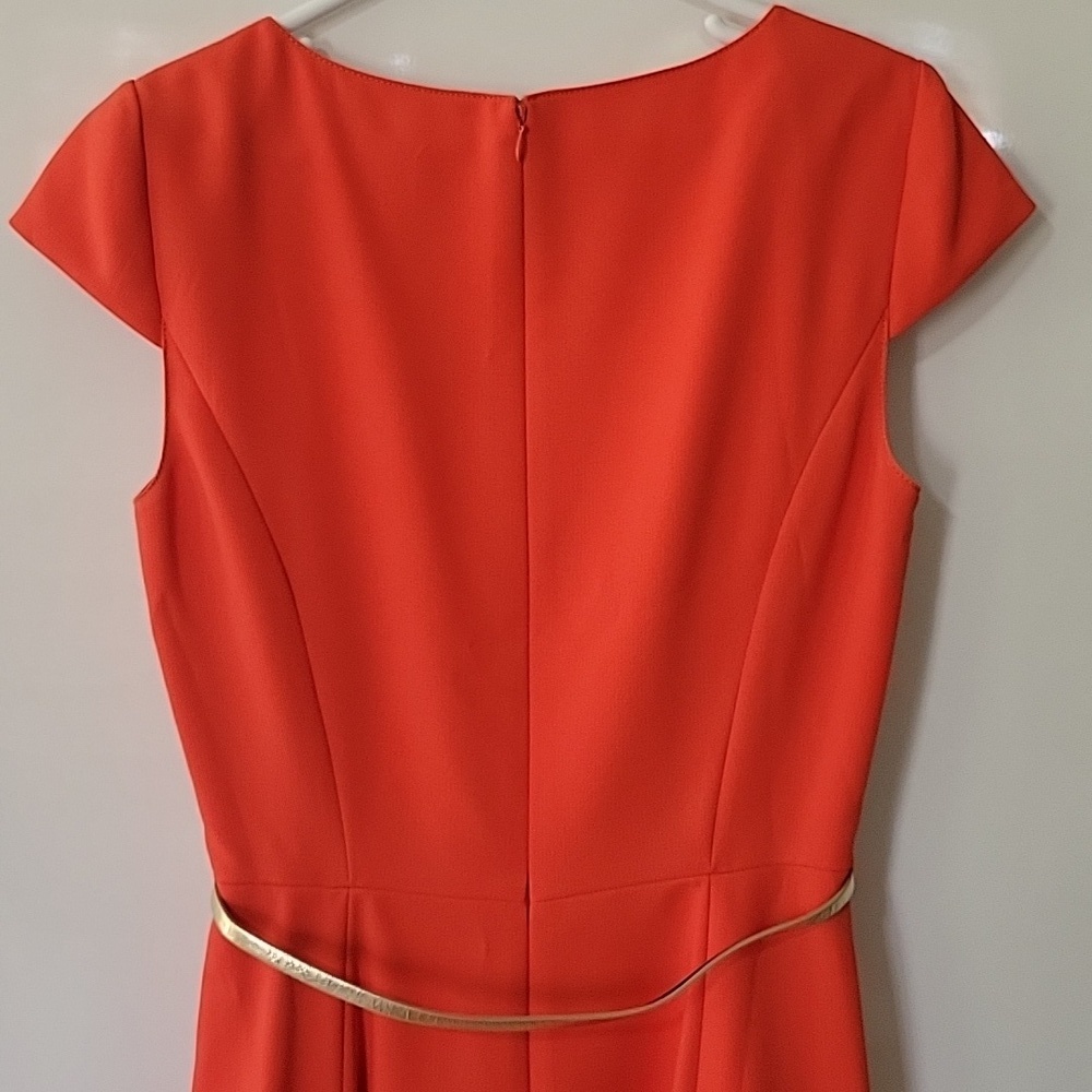 Gianni Bini Orange Fit & Flare Dress Gold Belt Cap Sleeve Size 6 - Picture 11 of 16